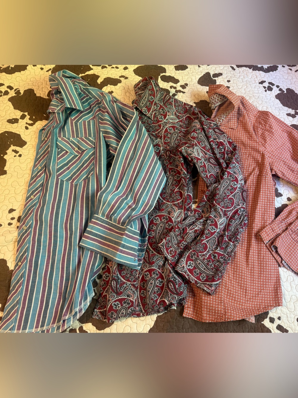 Striped Multicolor Button-Up Shirt with Paisley & Rust Tops M Cinch Wrangler